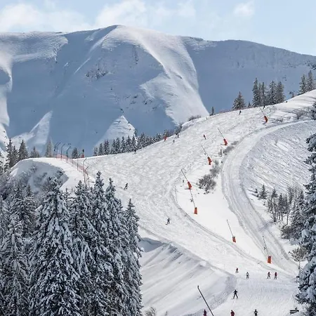 Au Petit Flocon - 3 Pieces, Et Proche Pistes - Parking Prive Et Wifi Διαμέρισμα