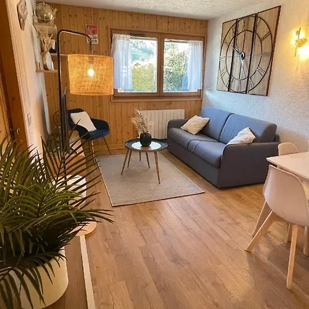 Au Petit Flocon - 3 Pieces, Et Proche Pistes - Parking Prive Et Wifi