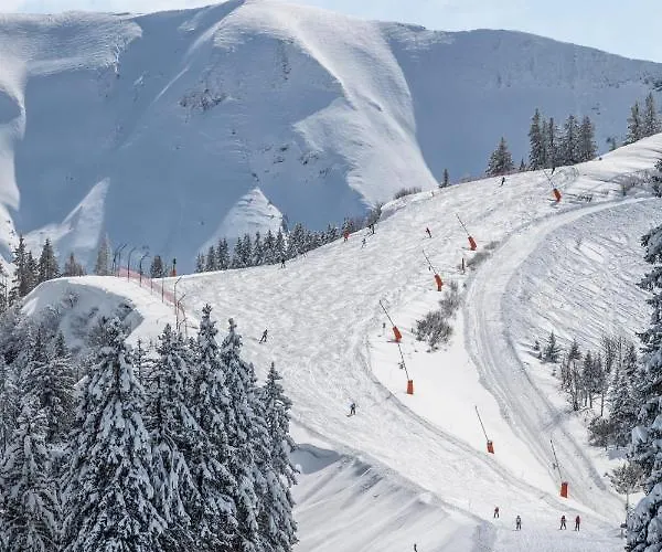 Au Petit Flocon - 3 Pieces, Et Proche Pistes - Parking Prive Et Wifi 公寓