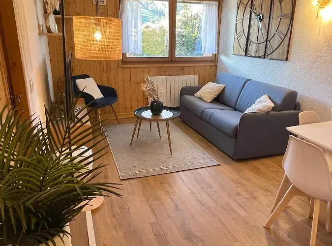 Au Petit Flocon - 3 Pieces, Et Proche Pistes - Parking Prive Et Wifi