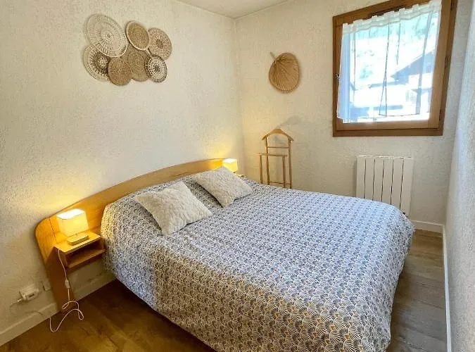 Au Petit Flocon - 3 Pieces, Et Proche Pistes - Parking Prive Et Wifi 公寓