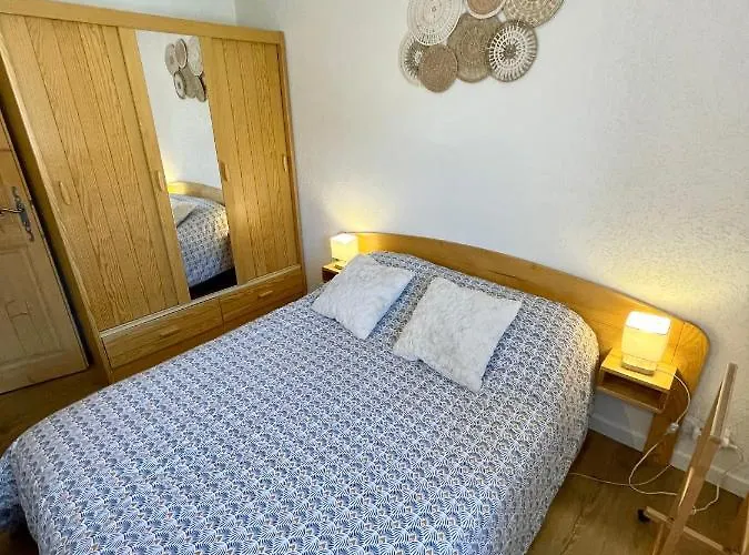 公寓 Au Petit Flocon - 3 Pieces, Et Proche Pistes - Parking Prive Et Wifi 梅杰夫